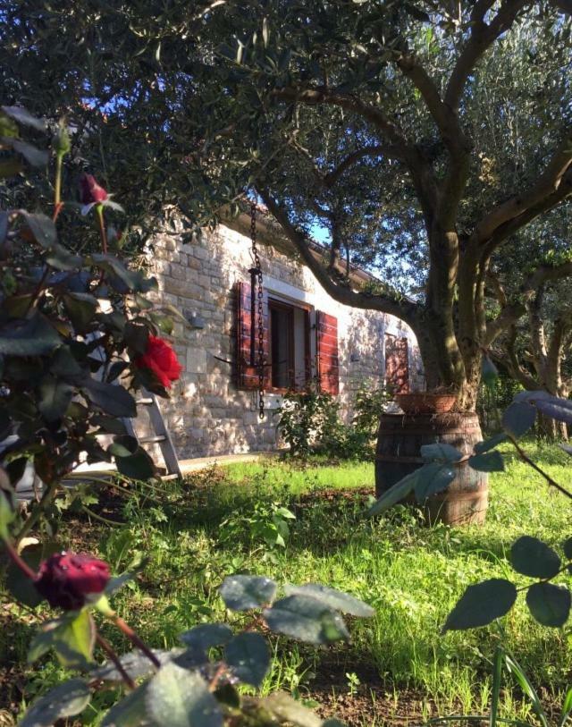 Casa Mala *
